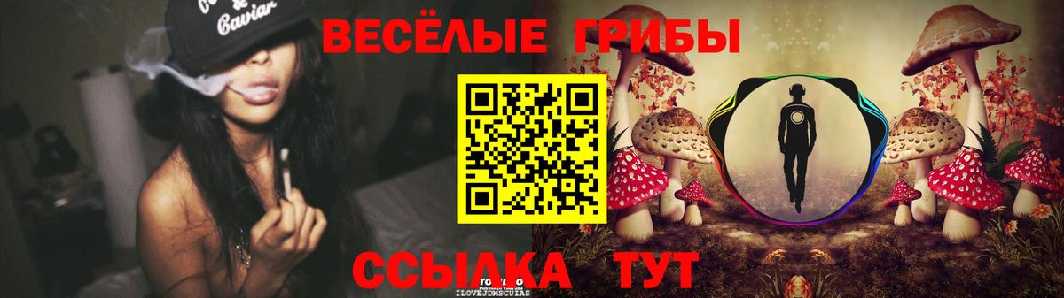 Галлюциногенные грибы Psilocybine cubensis Тихвин